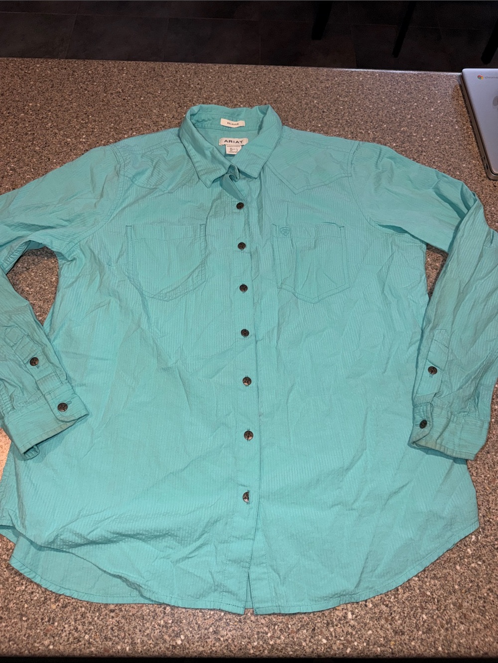 Ariat Button-Down Shirt in Aqua Teal